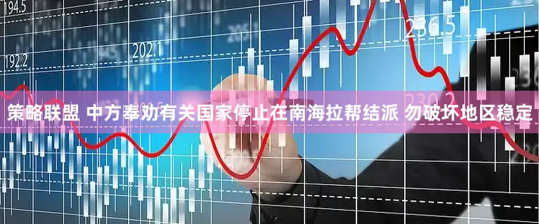策略联盟 中方奉劝有关国家停止在南海拉帮结派 勿破坏地区稳定
