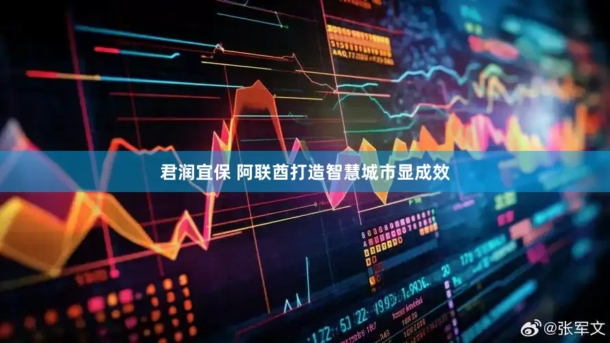 君润宜保 阿联酋打造智慧城市显成效