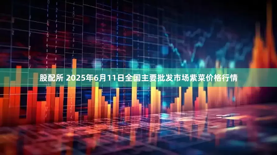 股配所 2025年6月11日全国主要批发市场紫菜价格行情